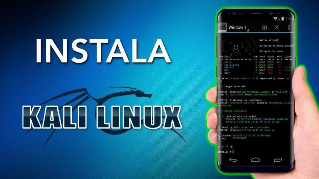 Можно ли играть на kali linux