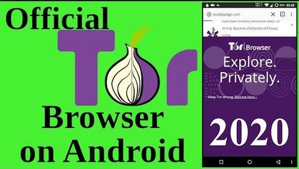 Как настроить тор браузер на андроид 2017 мега tor browser 4 pda mega