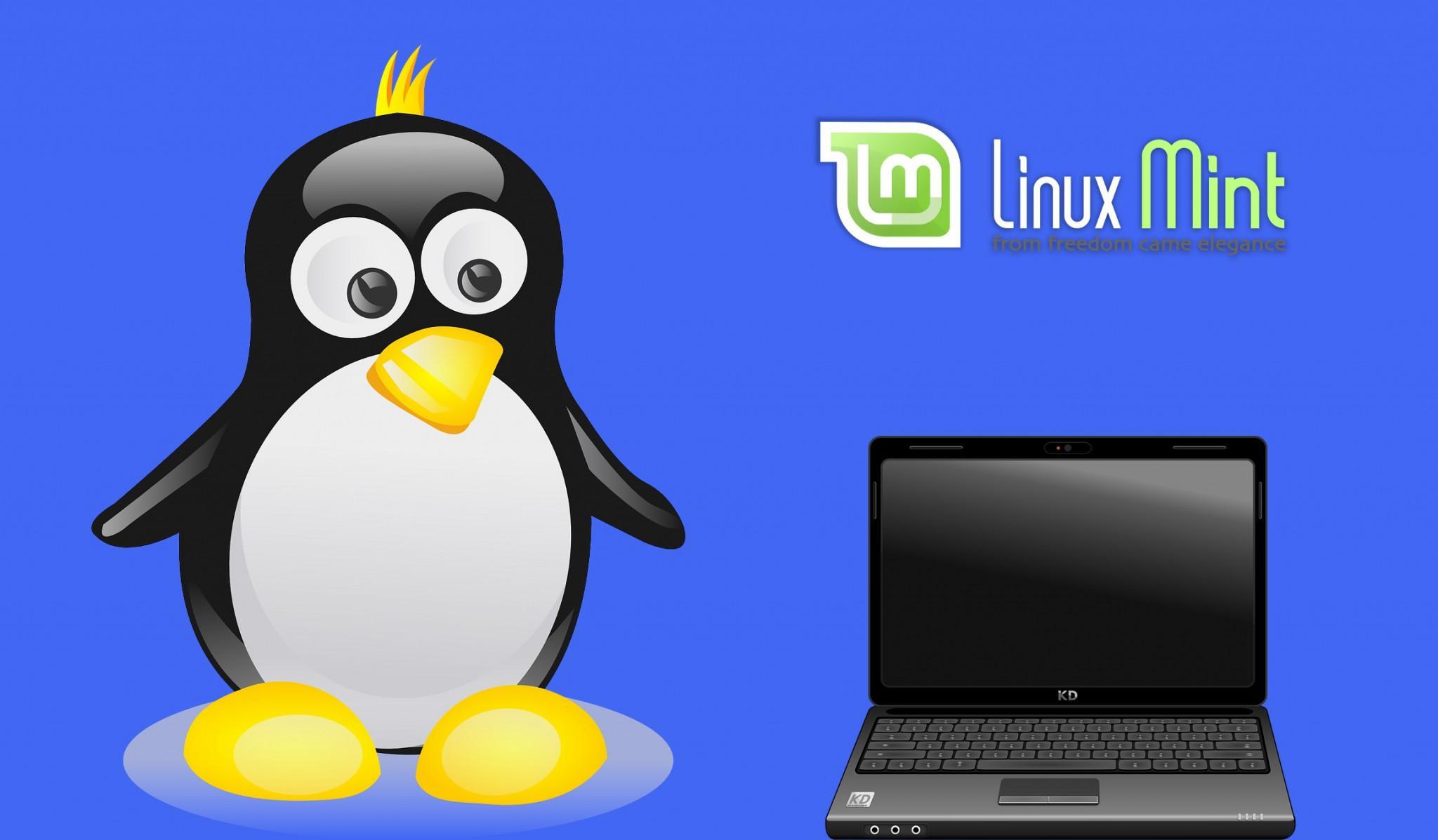 linux mint rdp server