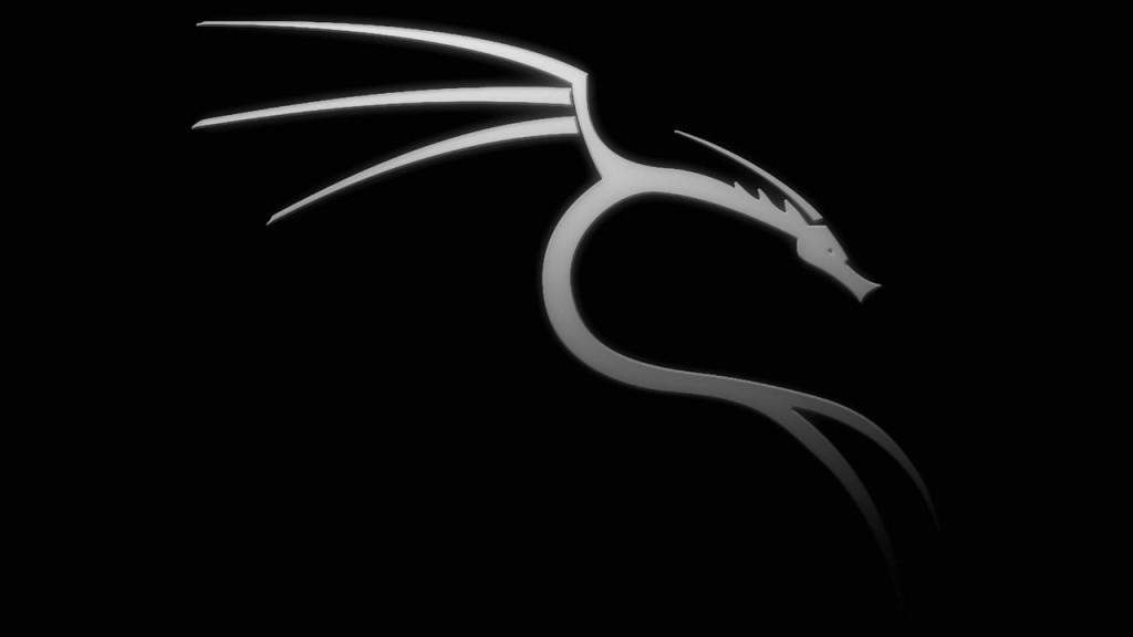 Как установить kali linux на андроид